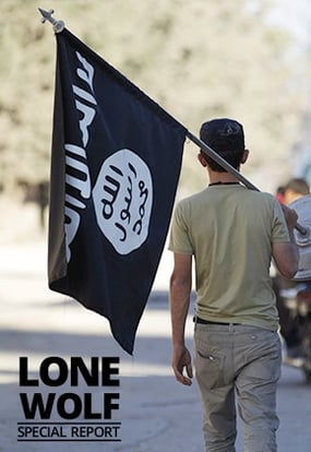 Lone wolf report-gated content image (003).jpg